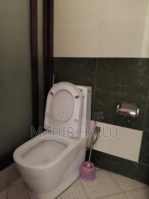 Studio Apartment in Real, Bole for rent