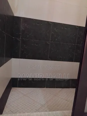 Studio Apartment in Real, Bole for rent