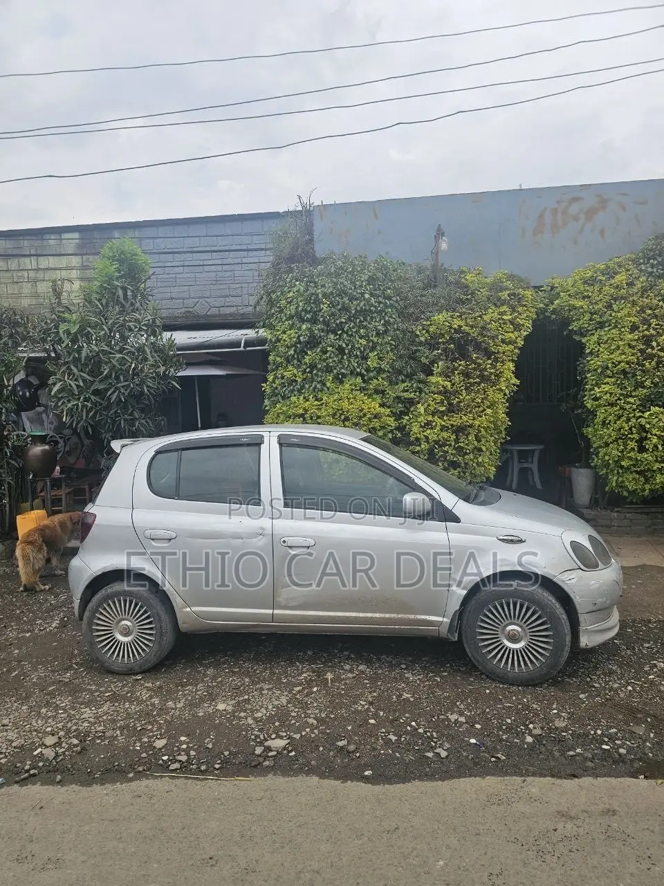 Toyota Vitz 2001 Silver