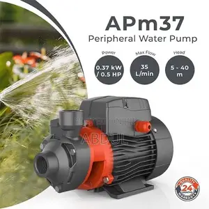LEO APm37 Peripheral Water Pump.