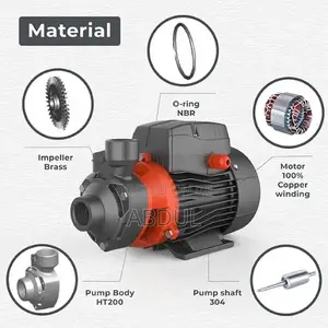 LEO APm37 Peripheral Water Pump.