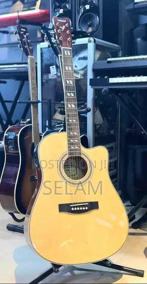 New Guitar