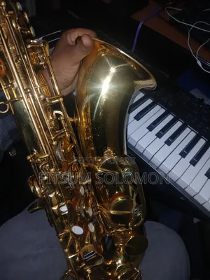 Professional Tenor Saxophone