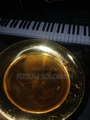 Professional Tenor Saxophone