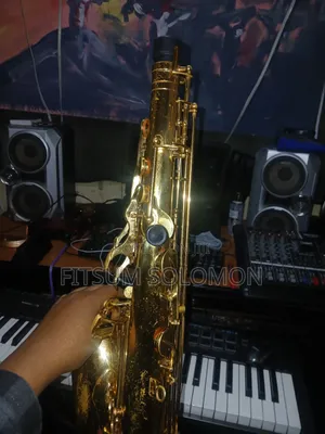 Professional Tenor Saxophone