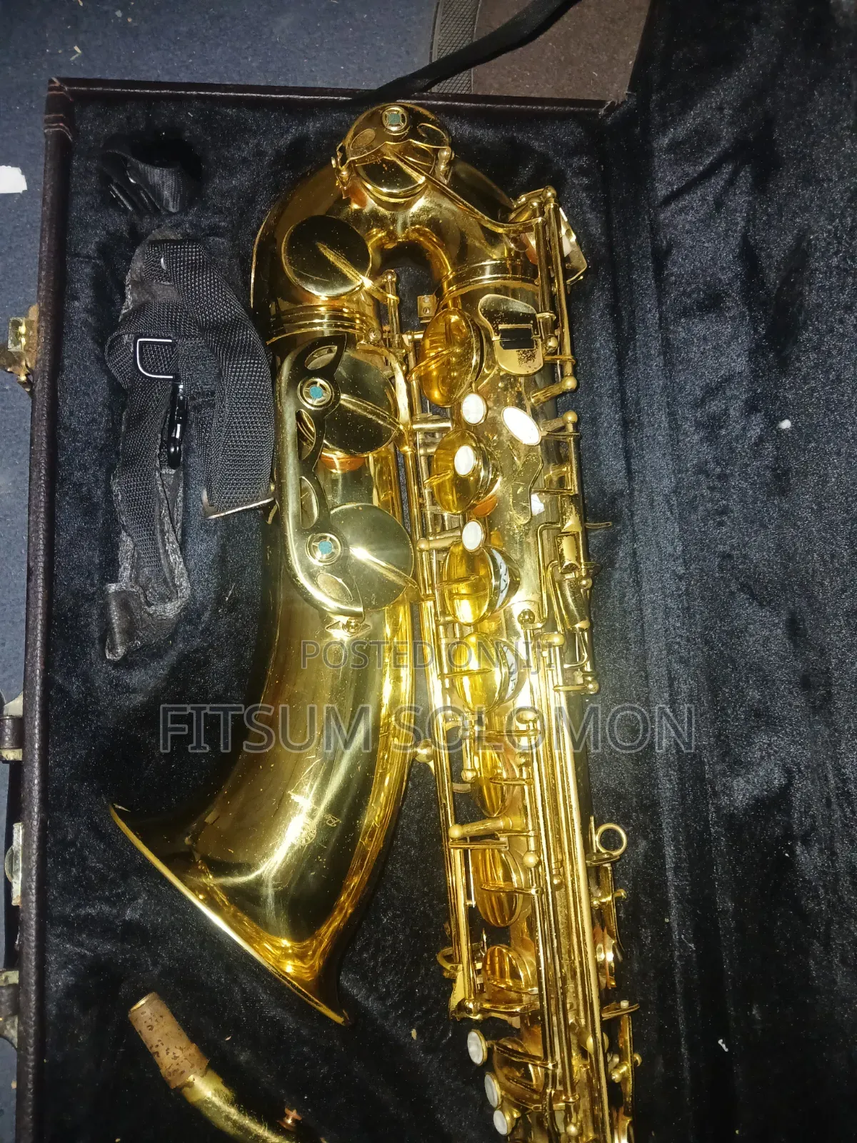 Professional Tenor Saxophone