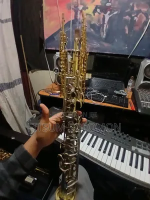 Professional Sorry Saxophone