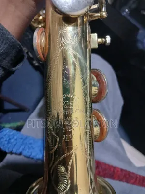Professional Sorry Saxophone