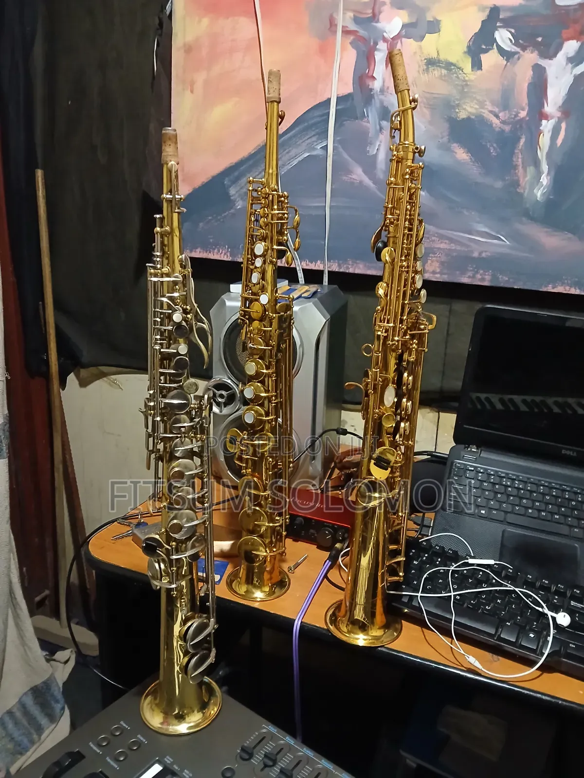 Professional Sorry Saxophone