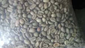 Jimma Coffee