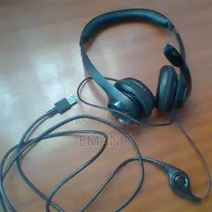 Logitech H390