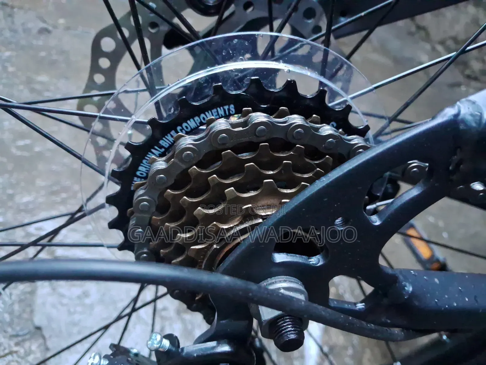 Bicycle Forever