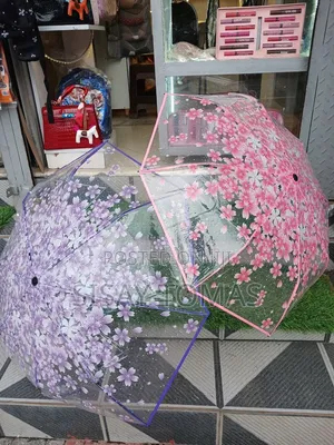 Transparent Umbrella