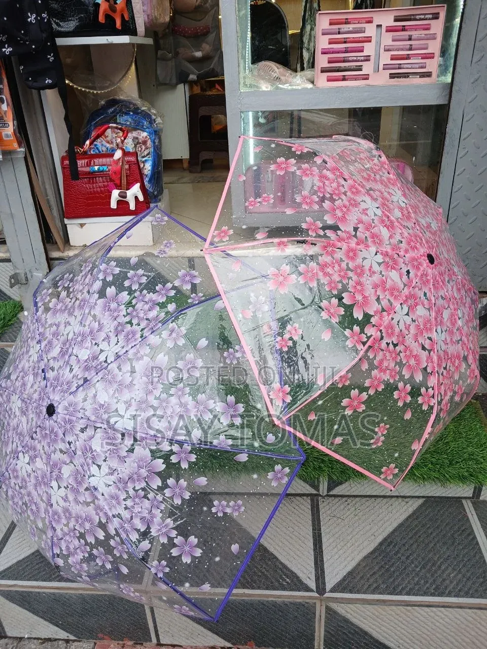 Transparent Umbrella