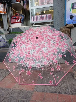 Transparent Umbrella