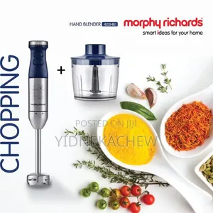 Royalmaster Proffesional Hand Blender 4 in 1