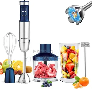 Royalmaster Proffesional Hand Blender 4 in 1