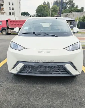 BYD Seagull 2024 Gray