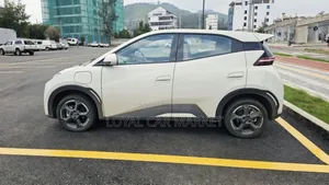 BYD Seagull 2024 Gray