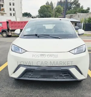 BYD Seagull 2024 Gray