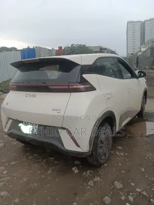 BYD Seagull 2024 White