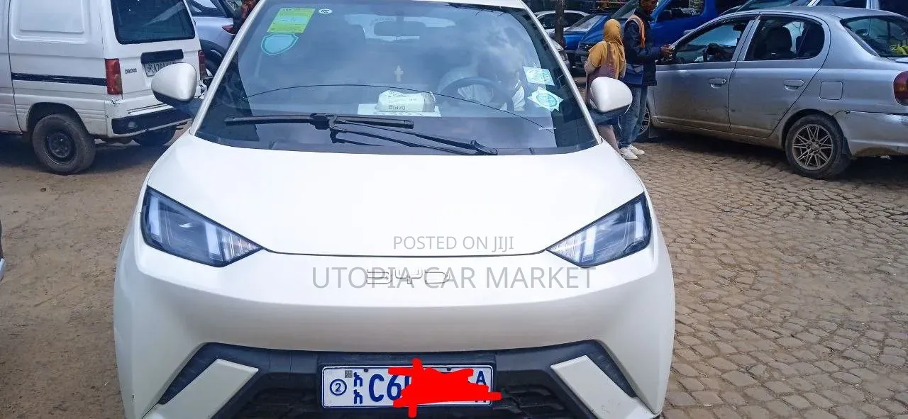 BYD Seagull 2024 White