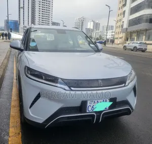 BYD Yuan Up 2024