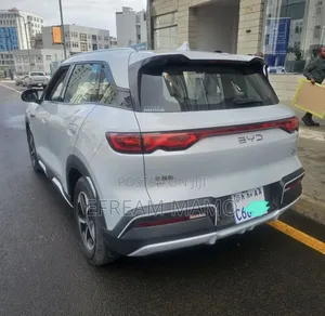 BYD Yuan Up 2024