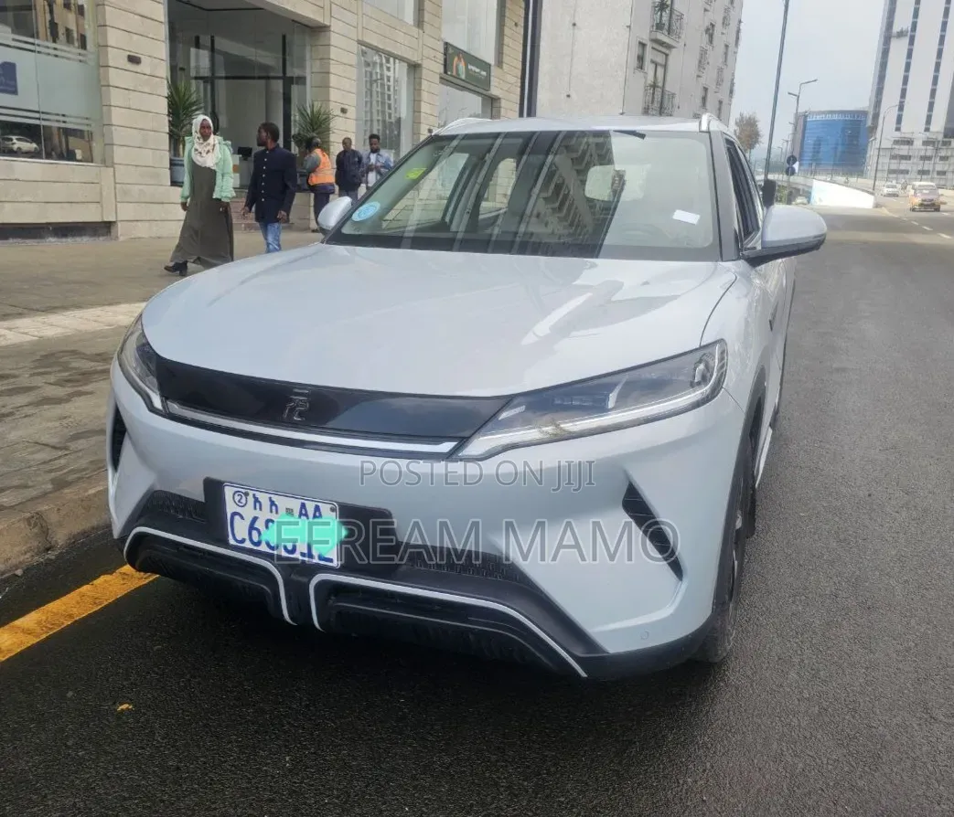 BYD Yuan Up 2024