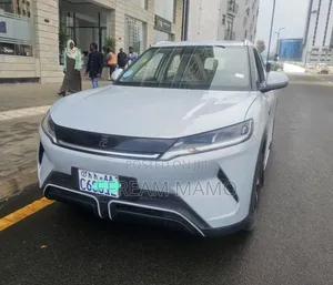 BYD Yuan Up 2024