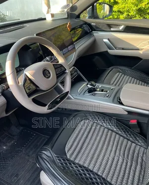 New BYD Tang EV 2024 Gray