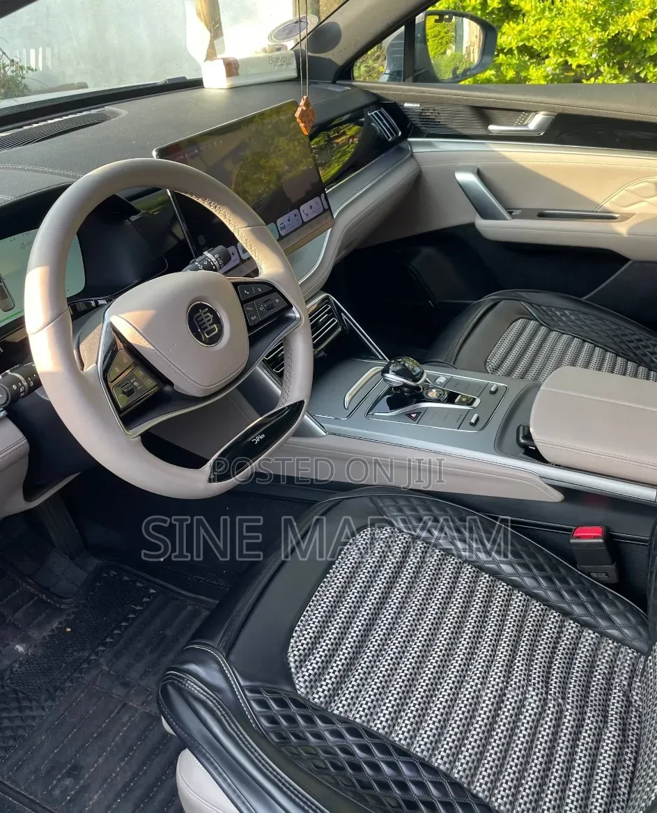 New BYD Tang EV 2024 Gray