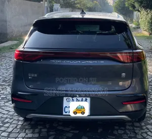 New BYD Tang EV 2024 Gray