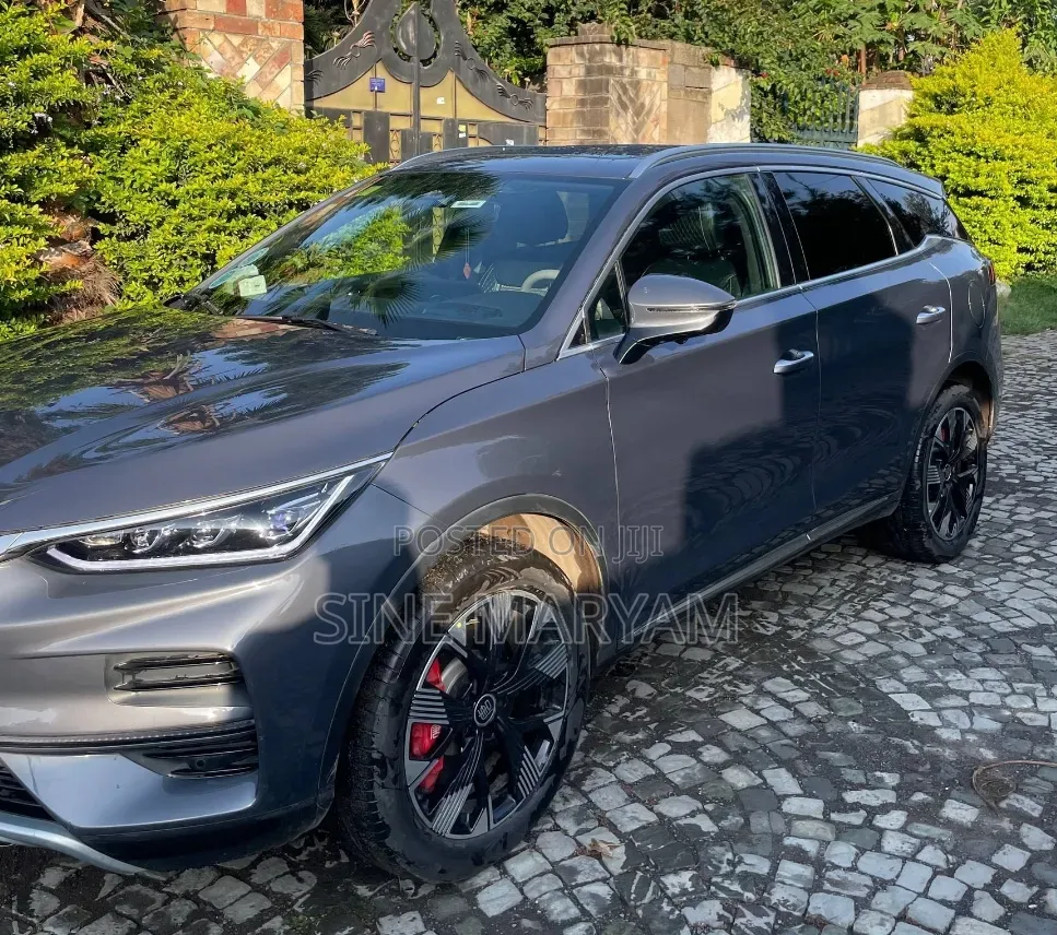 New BYD Tang EV 2024 Gray