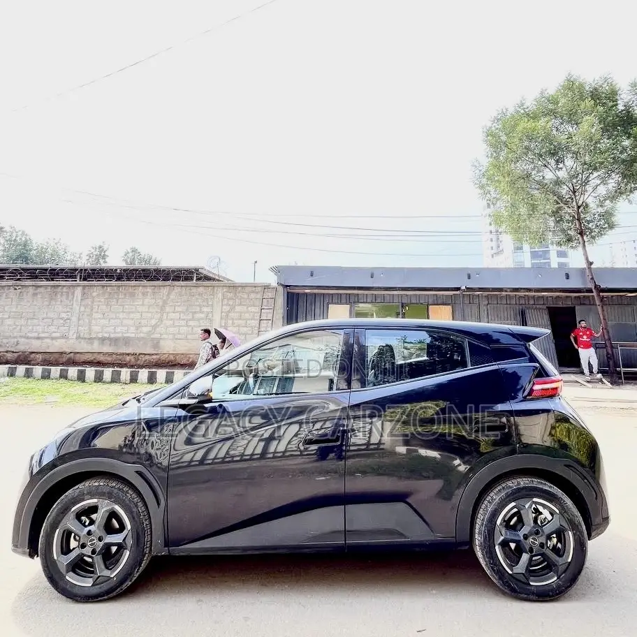BYD Seagull 2024 Black