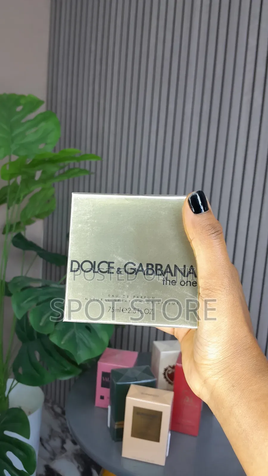 Dolce and Gabbana the One