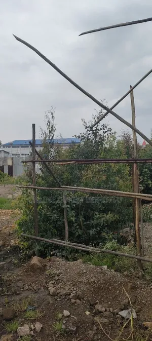 Dukem Bishoftu DEBIREZEYET