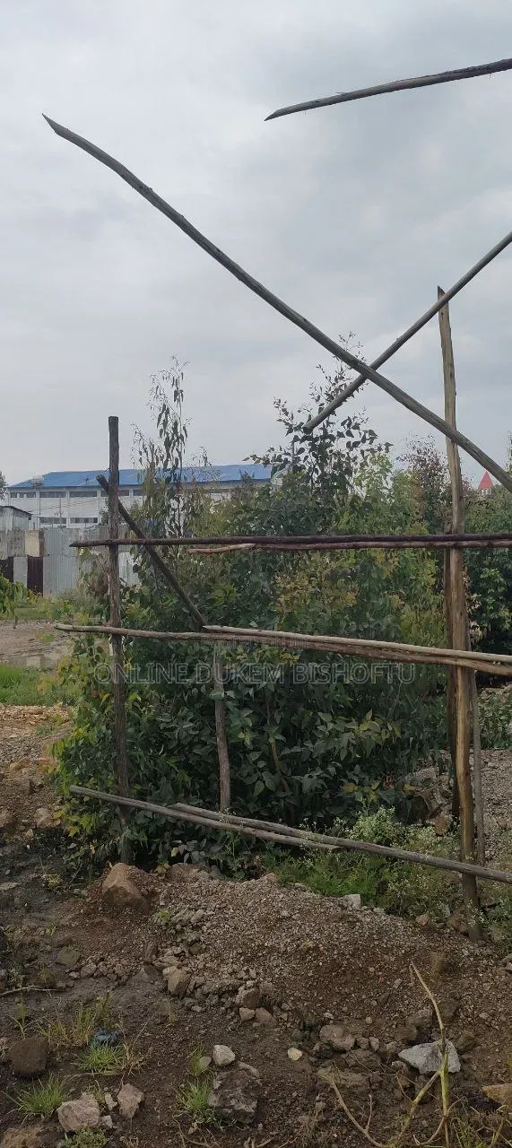 Dukem Bishoftu DEBIREZEYET