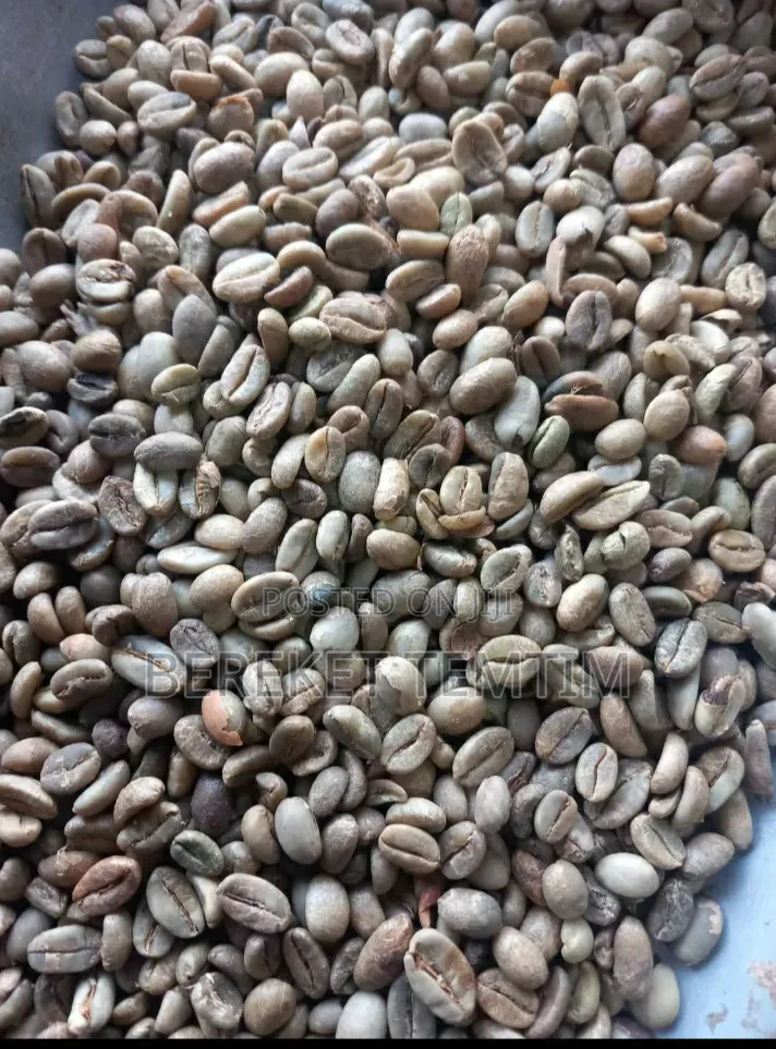 ጥራት ያለው የጅማ ጥሬ ቡና | Quality Raw Coffee Beans