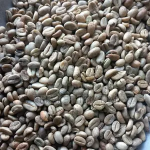 ጥራት ያለው የጅማ ጥሬ ቡና | Quality Raw Coffee Beans