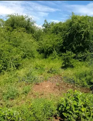 Land for SSLL