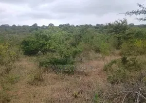 Land for SSLL