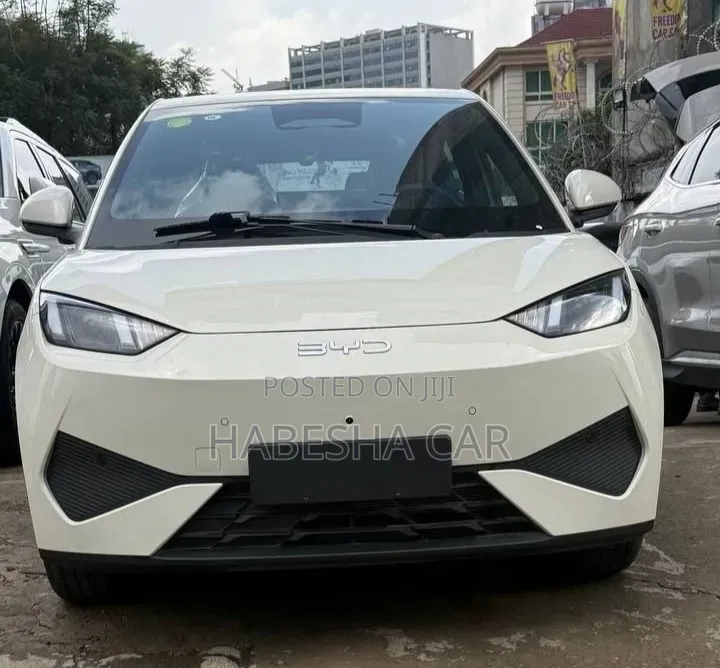 New BYD Seagull 2025