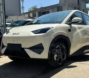 New BYD Seagull 2025