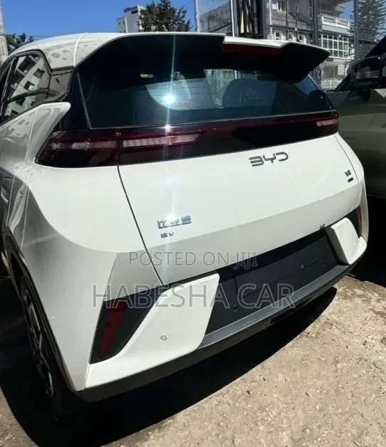 New BYD Seagull 2025