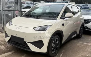 New BYD Seagull 2025