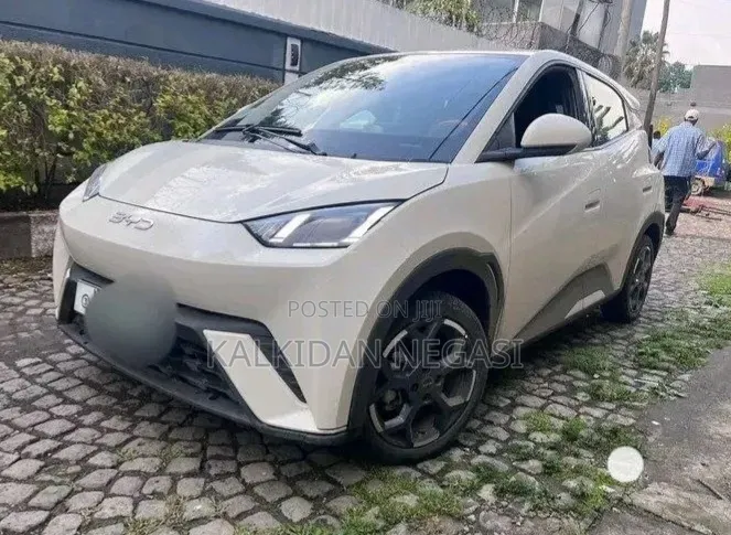 BYD Seagull 2025 Off white