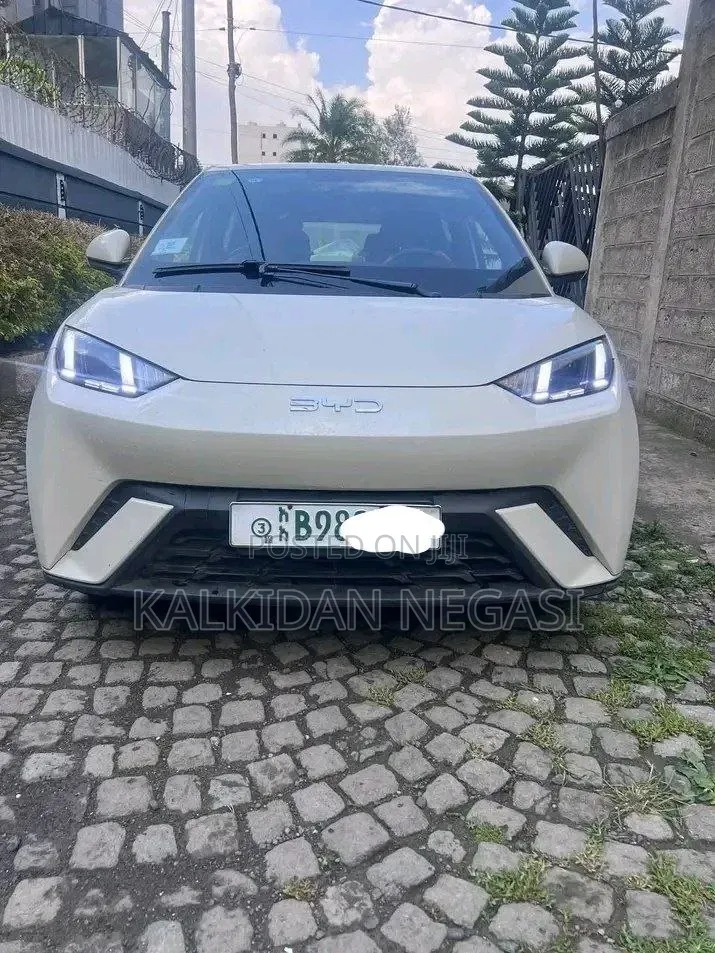 BYD Seagull 2025 Off white