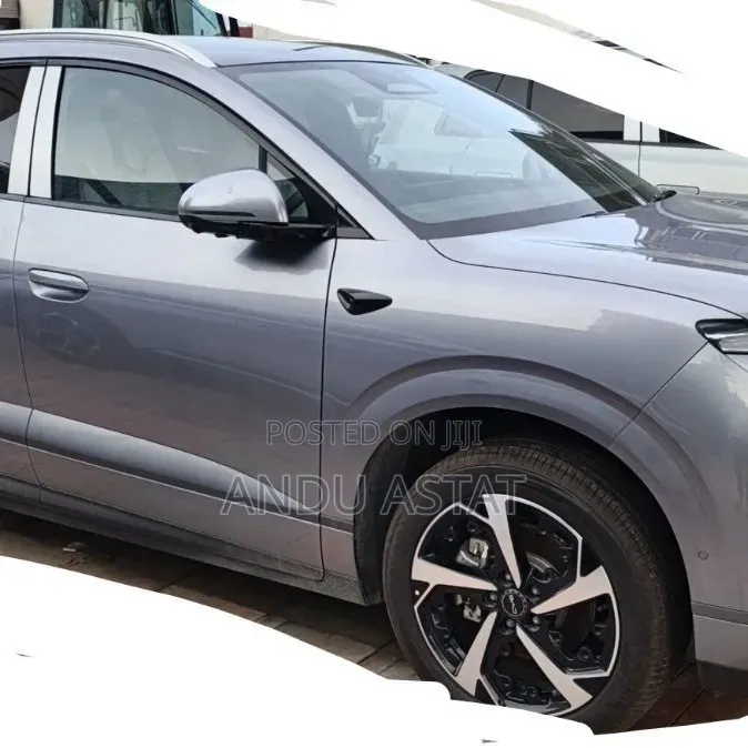 New BYD Sealion 06 EV 2025 Gray