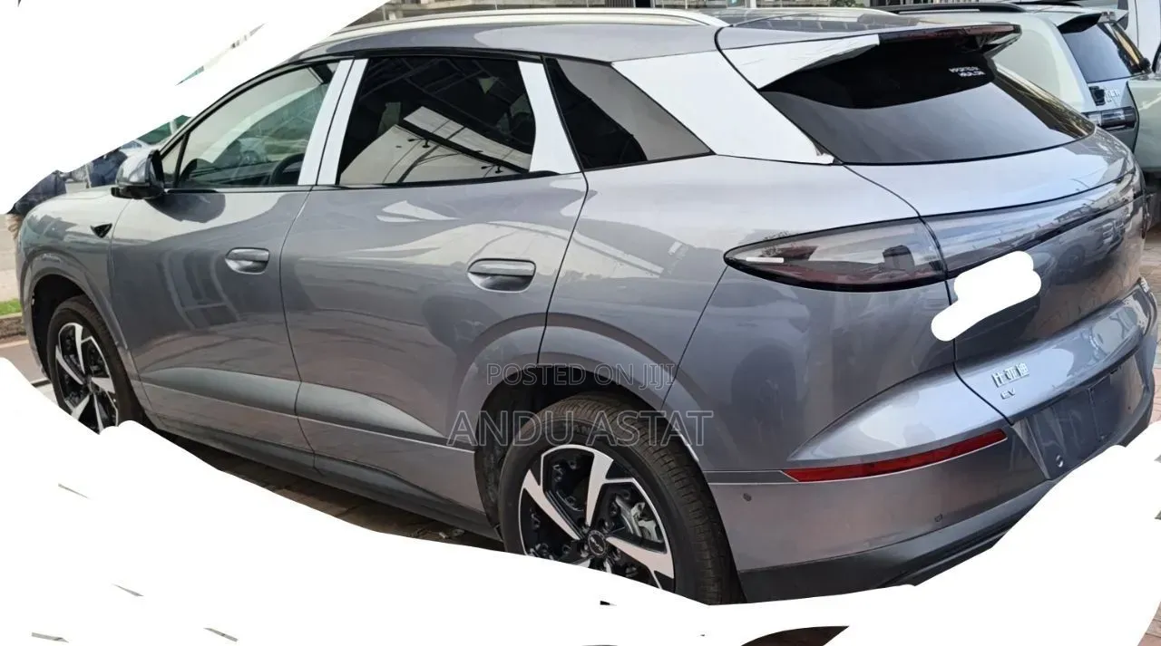 New BYD Sealion 06 EV 2025 Gray
